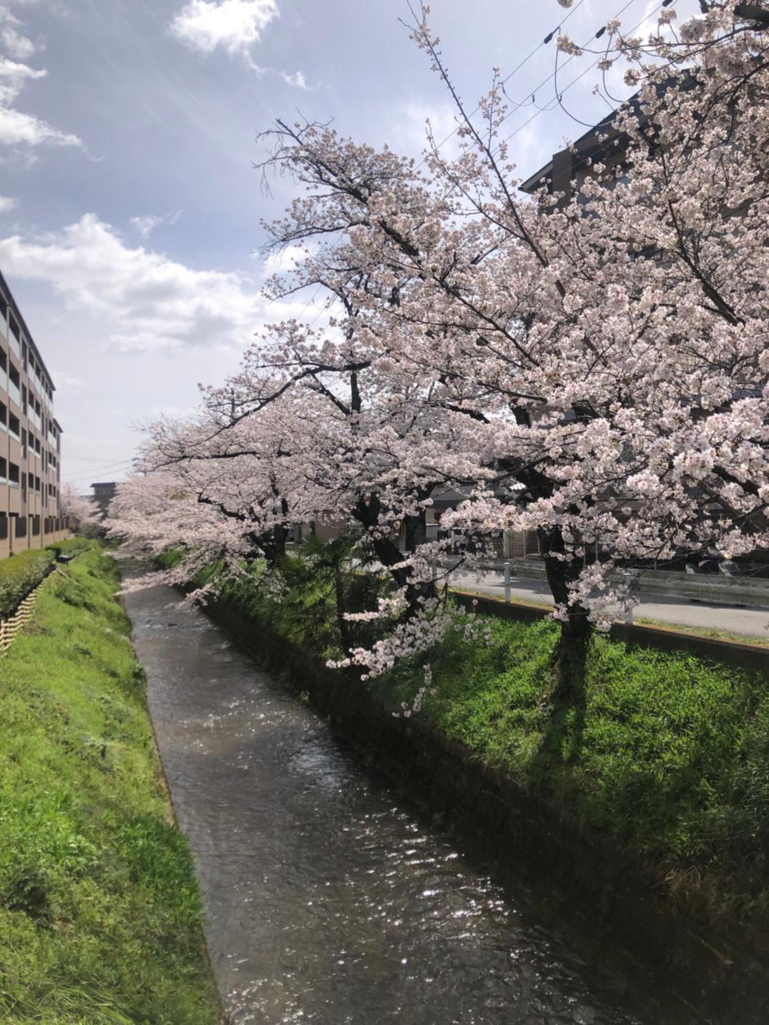 Hotel Tsubame-Ya Kioto Exterior foto